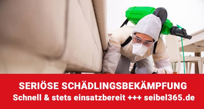 Schädlingsbekämpfung Willingen seriös